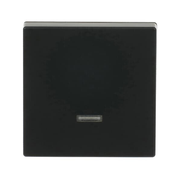 Busch-Jaeger Bedienelement Memory 6543-885-101